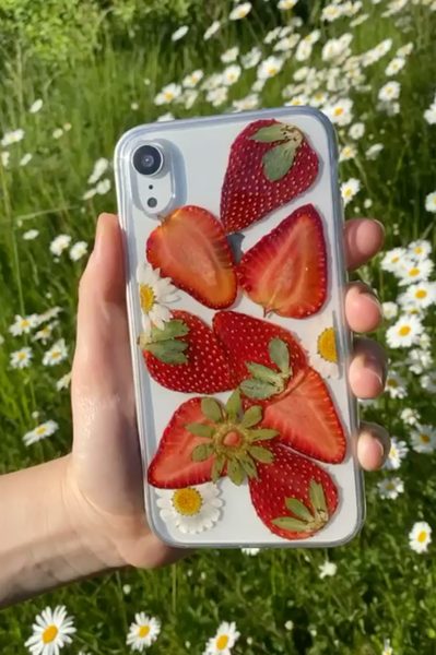 Real Dried Strawberries Phone Case, Real pressed Daisies Flowers, iPhone case, iPhone 6 6s 7 8 plus x xr XS 11 12 13  pro max case