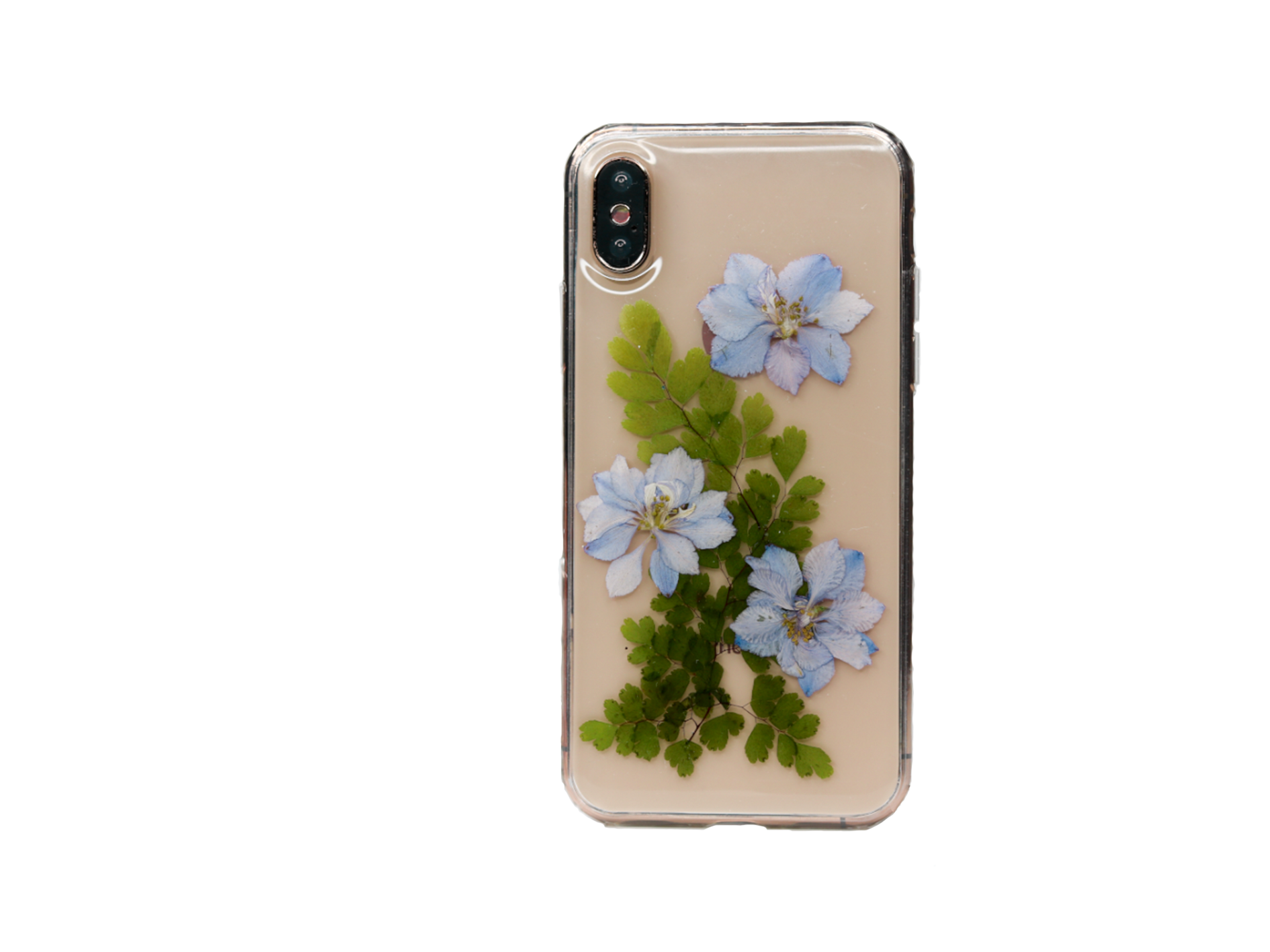  Real Pressed Blue Flowers Phone Case, Violets , Samsung Galaxy S10 S9 S8, iphone case, iphone 6 6s 7 8 plus x xr xs 11 12 13 pro max case