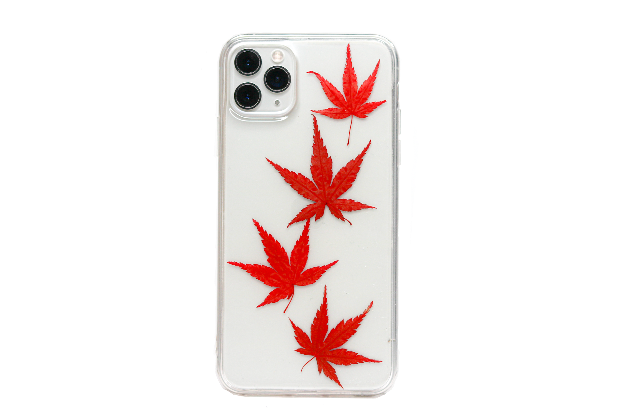 Maple Leaves Case - Call Me Daisy Call me Daisy Maple Leaves Case - Call Me Daisy Call me Daisy